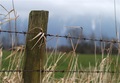 The Fence Post