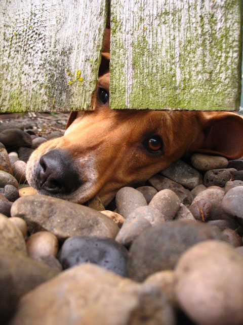 Can I get under this?