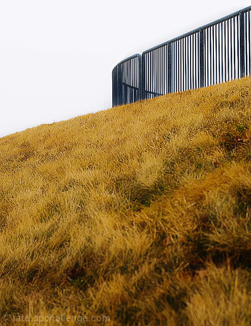linear