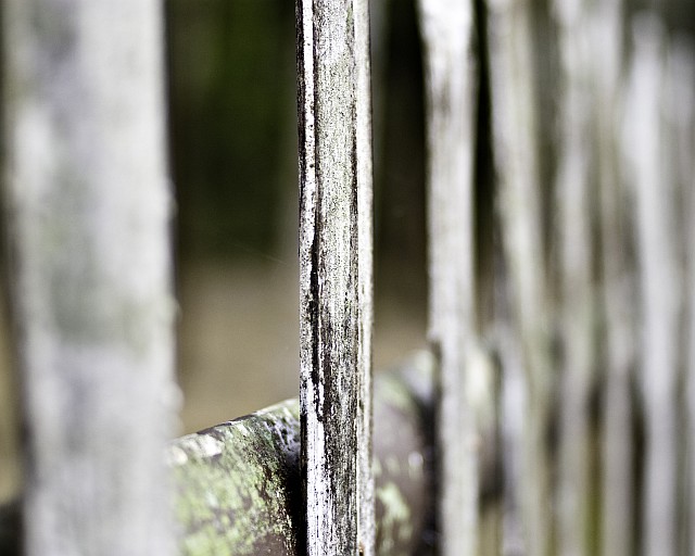 Fence Bokeh