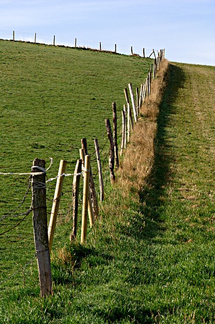 The fence on the hill