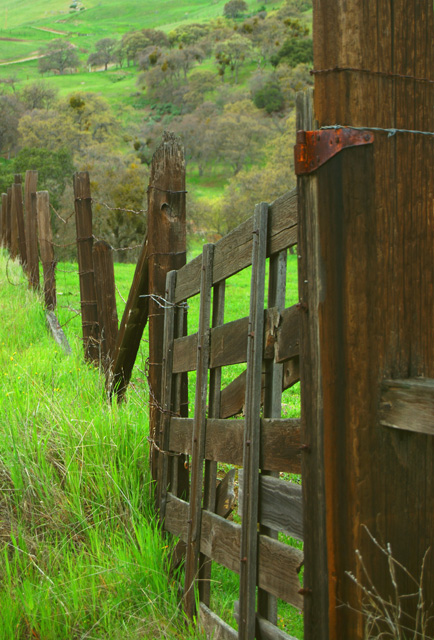 Back Forty Entrance 