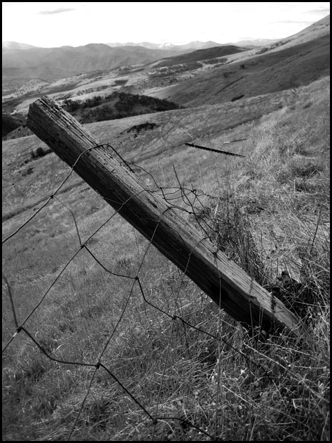 fence on a hill