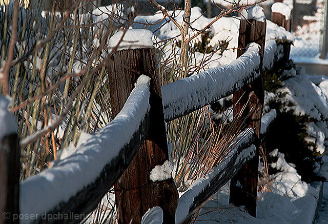 spring snow