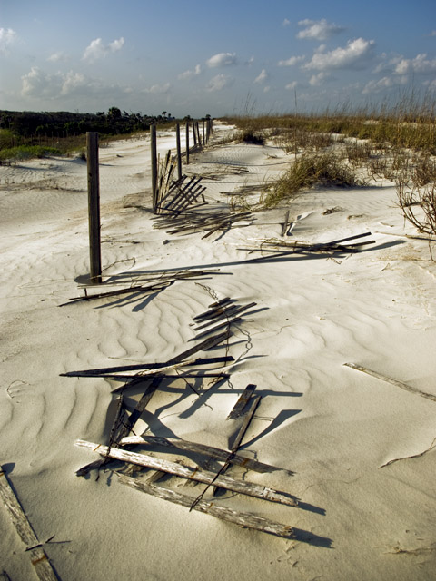 Mother Nature vs. Fence