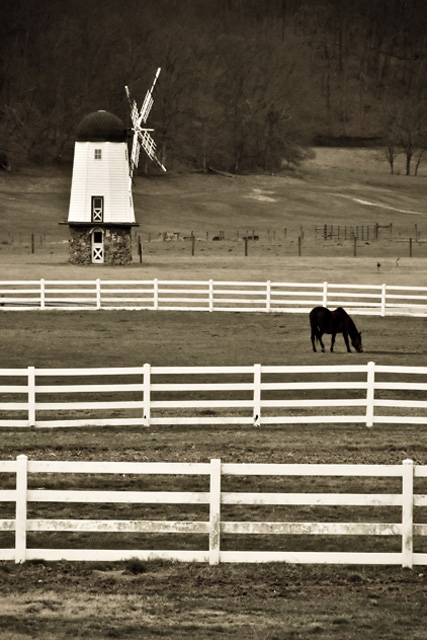 Down on the Farm