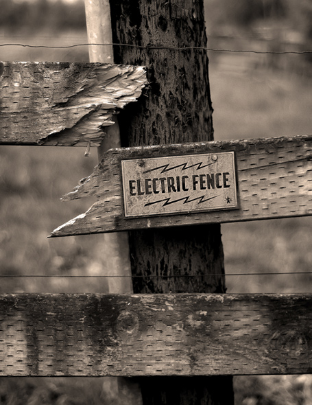 Electric Fence