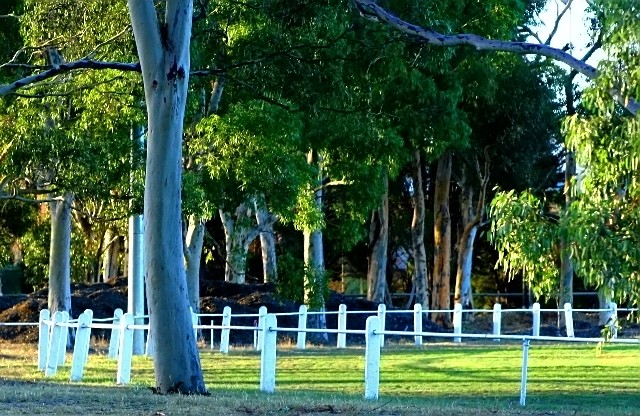 Home Amongst The Gum Trees