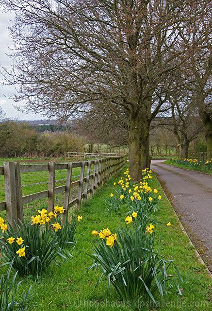 Spring Fences