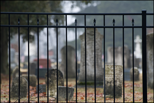 The Soul Cages