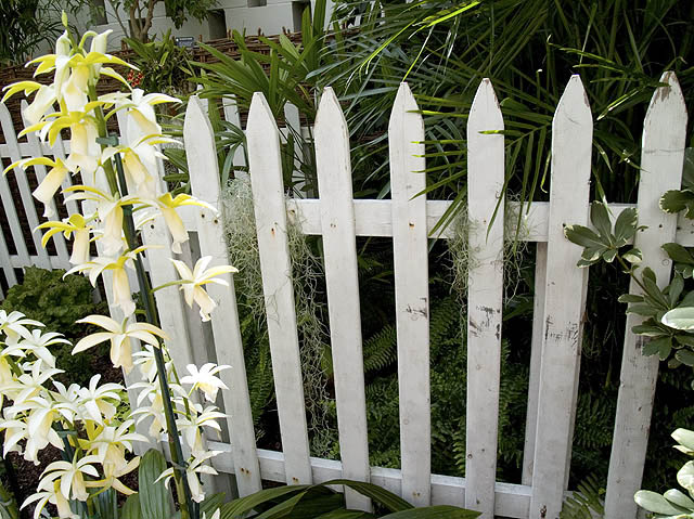 Classic garden Pickets