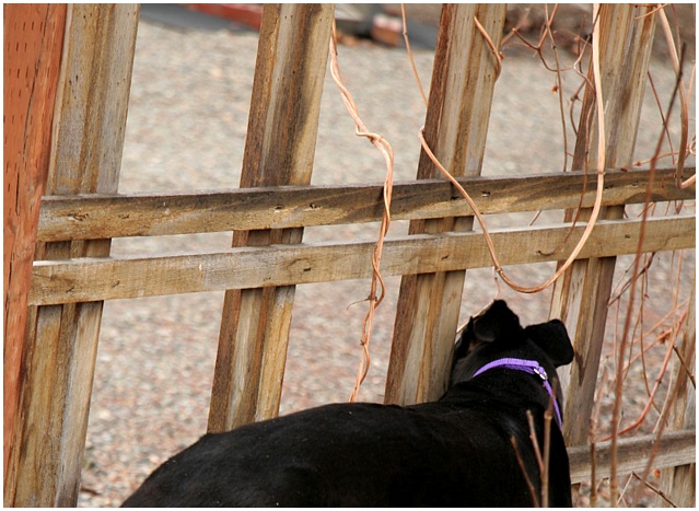 Checking out the Neighbors