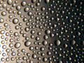 Liquid