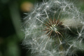 Circular