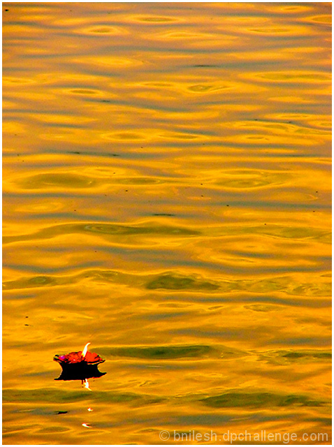 Lamp on Golden River