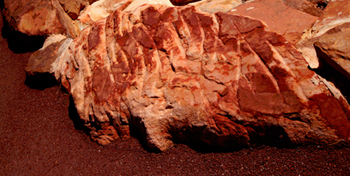 Iron ore Stains from outback Australia