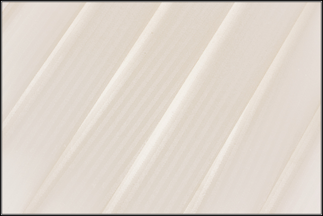 Lines