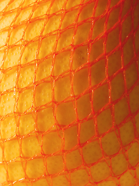 Fishnet fruit