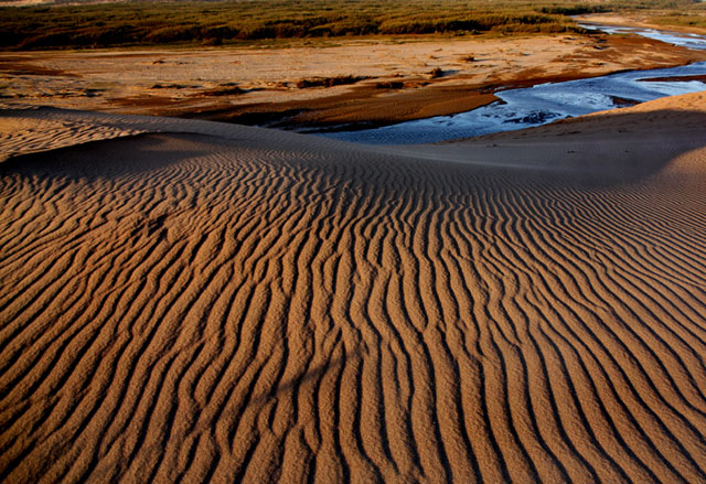 Patterns in the dunes