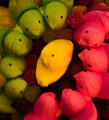 Peep Rally:  "Eat Peas not Peeps!"