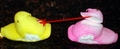 Peep War!!!!