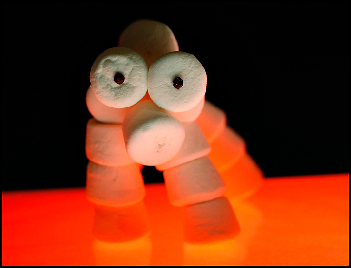 Prehistoric Marshmallow Peep Found In Europe!