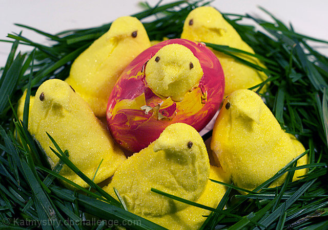 Birth of a Peep