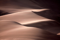 Sculpted by the Wind