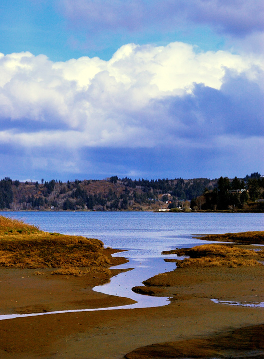 Low tide at Yaquina Bay