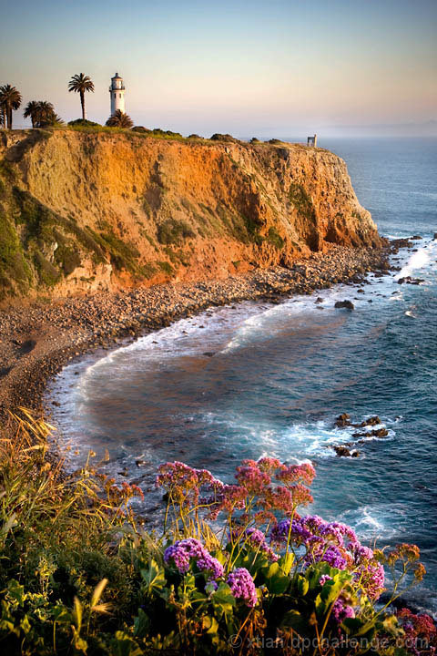 dusk at crescent cove - a vertical landscape