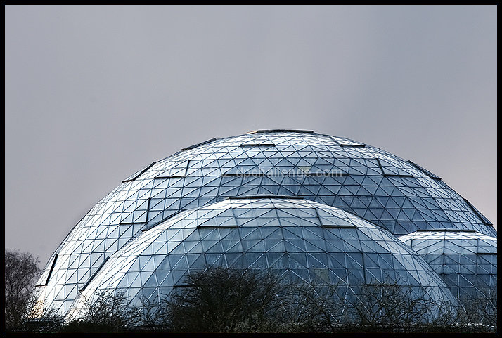 Domes