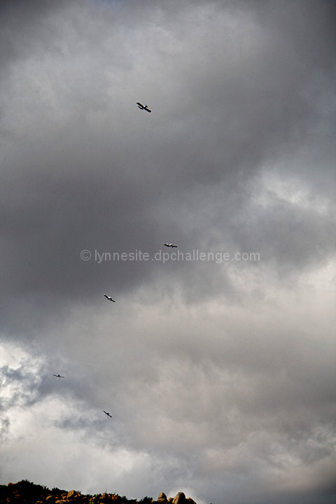 Sky Swoopers