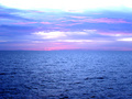 Springtime Ocean
