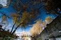 Impressionism 3628