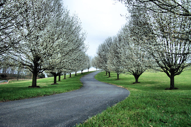 Spring Has Sprung