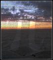 Transcendental Number