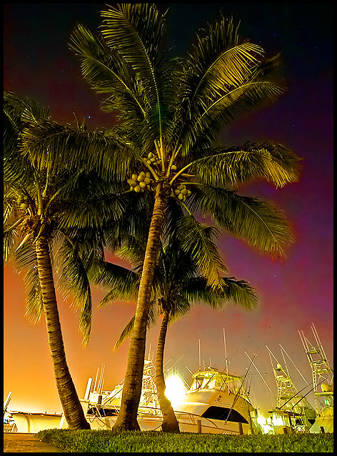 Tropicália