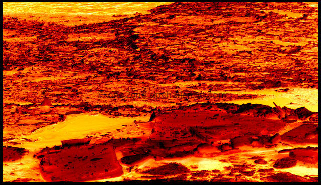 Embers