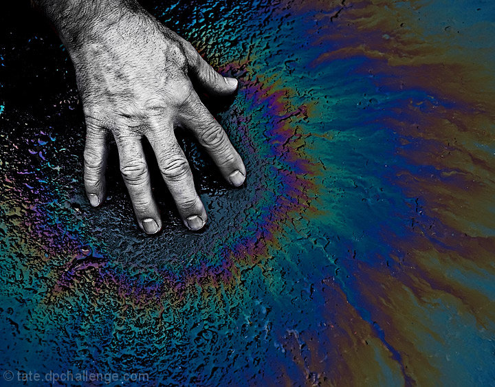 the human stain