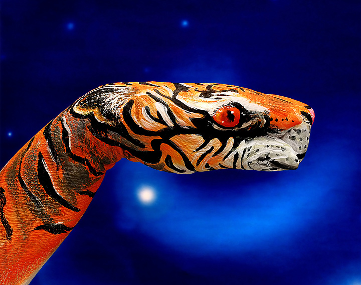 A Handful of Tiger - MyTribute to Guido Daniele