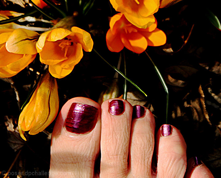 toes into spring