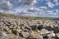 Limestone Pavement of Malham Cove