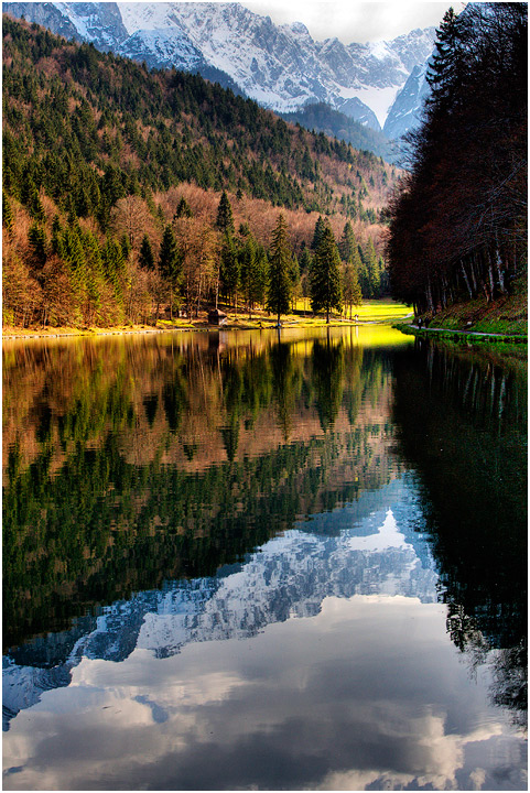 Alpine spring