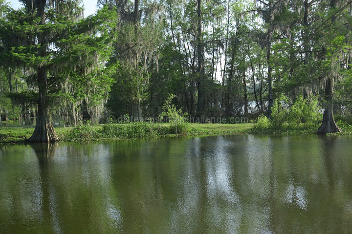 Beside the Still Waters