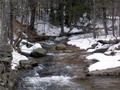 Springtime In Northern NH