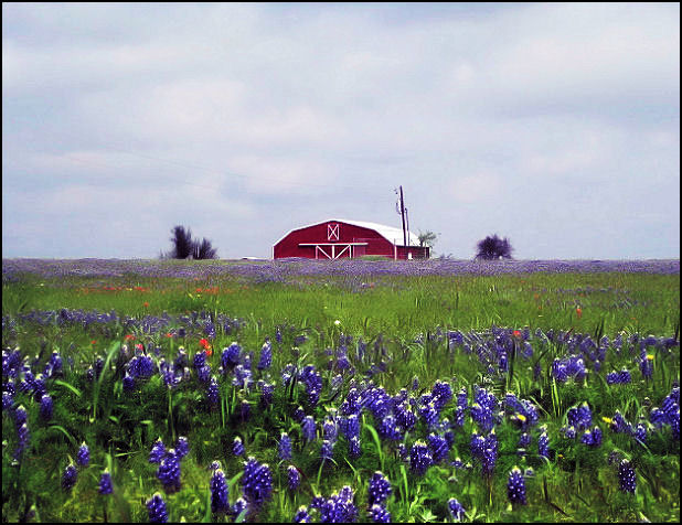 Red Barn