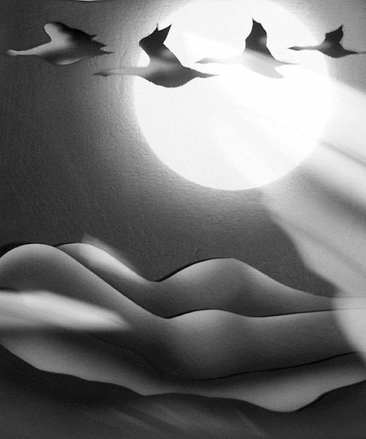 wings over moonlit nude landscape