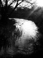 Evening River
