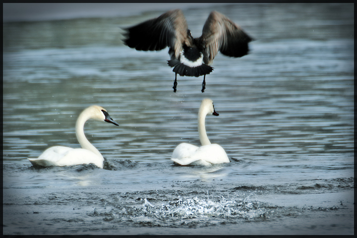 "...cleared for take-off"