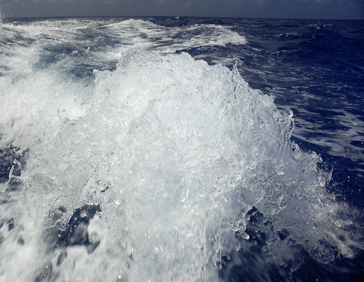 Neptune Arising